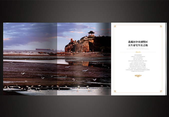 天海頤墅  海報設(shè)計  廣告詞創(chuàng)意設(shè)計